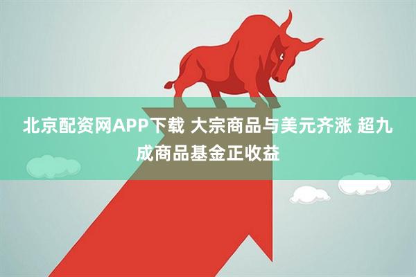 北京配资网APP下载 大宗商品与美元齐涨 超九成商品基金正收益