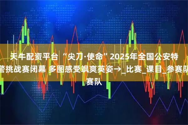 天牛配资平台 “尖刀·使命”2025年全国公安特警挑战赛闭幕 多图感受飒爽英姿→_比赛_课目_参赛队