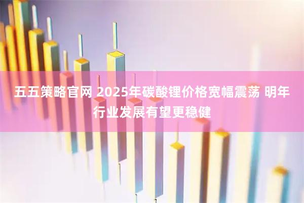 五五策略官网 2025年碳酸锂价格宽幅震荡 明年行业发展有望更稳健
