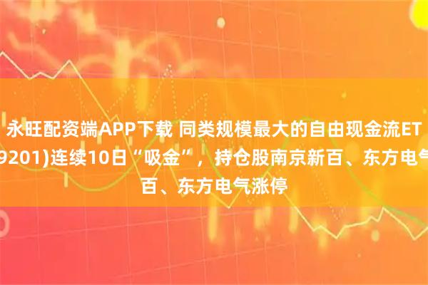 永旺配资端APP下载 同类规模最大的自由现金流ETF(159201)连续10日“吸金”，持仓股南京新百、东方电气涨停