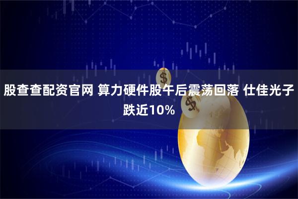 股查查配资官网 算力硬件股午后震荡回落 仕佳光子跌近10%